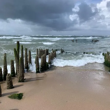 Duenengrund 2c Daire Sylt